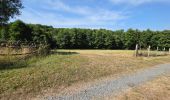 Percorso Marcia Cerelles - Cerelles - Bois de Lignière - Photo 12