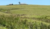 Tour Wandern Nasbinals - Nasbinals Montorzier Aubrac GR65 - Photo 6