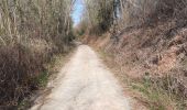 Trail Walking Villers-la-Ville - Le Huit de Mellery - Photo 4