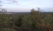 Tocht Noords wandelen Charleroi - mn bois du casier - Photo 1