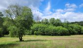 Tocht Stappen Gedinne - rando bourseigne vieille 15-06-2024 - Photo 16