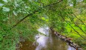 Randonnée Marche Bouillon - Balade au fil du ruisseau des Aleines - Les Hayons - Photo 18