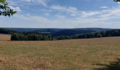 Tour Wandern Vresse-sur-Semois - vresse 240822 - Photo 2