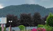 Percorso Marcia Gérardmer - tour du lac de Gérardmer  - Photo 1