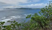 Randonnée Marche La Trinité - Anse Cosmy - Anse Azerot - Photo 11