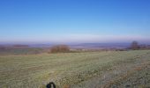 Tocht Mountainbike Saint-Clément - sortie vtt du 29122019 Sur le haut de Lunéville - Photo 8