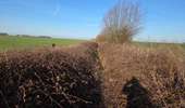 Trail Walking Les Bons Villers - Mellet - Saint-Amand - Photo 9