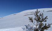 Excursión Esquí de fondo Castellet-lès-Sausses - mourre Frey te tête de travers - Photo 2