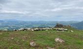 Excursión  Lecumberry - Buluntza, Vautours et Milans - Photo 1