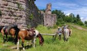 Trail Horseback riding Orbey - 2020-06-28 WE Orbey Petit Hohnack Glasborn - Photo 3