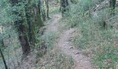 Trail Walking Hauteroche - RECULEE DE BAUME-LES-MESSIEURS  - Photo 5