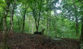 Trail Walking Habay - marche adeps ruelles  - Photo 1