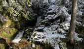 Randonnée Marche Xonrupt-Longemer - Cascade Charlemagne  - Photo 2