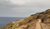 Trail Walking Port-Vendres - port vendre . cap bear / retour  - Photo 20