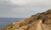 Tour Wandern Port-Vendres - port vendre . cap bear / retour  - Photo 20