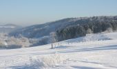 Tour Zu Fuß Meinerzhagen - Wilkenberg Rundweg A3 Benzel - Photo 2