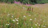 Tocht Stappen Peisey-Nancroix - Arc 2000 - Le Canal- Arc 1800 - Photo 3