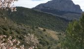 Tour Wandern Gémenos - Col de L'Espigoulier, col de Bretagne, Dents de Roque Forcade A/R - Photo 5