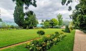 Randonnée Marche Rueil-Malmaison - Domaine Malmaison - Cité jardin Suresnes - Boulogne - Serres d'Auteuil - Photo 18
