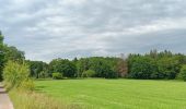 Randonnée Marche Sprimont - dans les bois au nord de Banneux - Photo 18