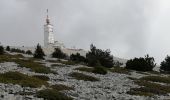 Tour Wandern Bédoin - les glacières par le sommet du ventoux - Photo 14