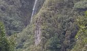 Tocht Stappen São Vicente - Levada da Faja do Rodrigues (Rother n°32) - Photo 4