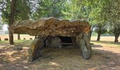 Randonnée Marche Mettray - Mettray - Sentier de la Grotte aux Fées  - Photo 17