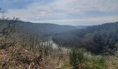 Tour Wandern Hohenfels - rando nadrin 14-04-2022 - Photo 1