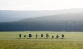 Percorso A piedi Orlické Záhoří - [Z] Orlické Záhoří - Pěticestí - Photo 1