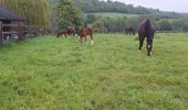 Trail Walking Le Mesnil-Simon - Le Mesnil Simon - Photo 4