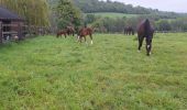 Tour Wandern Le Mesnil-Simon - Le Mesnil Simon - Photo 4