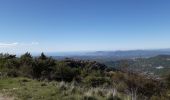 Tour Wandern Courmes - Pic de Courmettes Puy de Tourrettes - Photo 1