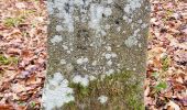 Tour Zu Fuß Unbekannt - DE-SAV Rotes Hufeisen, Stroheiche - Weilimdorf? - Photo 4