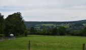 Tour Wandern Malmedy - 20210620 - Baugnez 8.7 Km - Photo 11