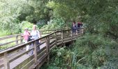 Trail Walking Tréveneuc - Treveneuc 17 08 2020 - Photo 1