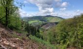 Trail Walking Stoumont - La Gleize 200521 - Photo 3