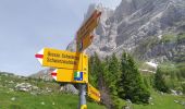 Randonnée A pied Grindelwald - Grosse Scheidegg - Schreckfeld - Photo 1