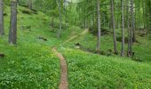 Trail Walking Arvieux - Queyras 02 - Arviieux/La Chalp - Refuge de Furfande - Photo 3