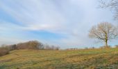 Trail Walking Theux - marché theux sasdor franchimont - Photo 6