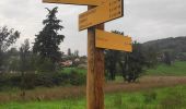 Trail Walking Lozanne - forêt de la flachere - Photo 5