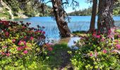 Trail Walking Font-Romeu-Odeillo-Via - Lacs infér. des Bouillouses  - Photo 6