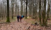 Tocht Stappen Rochefort - Lavaux-Sainte-Anne PVL Nov 2023 - Photo 2