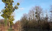 Randonnée Marche Pont-sur-Seine - entre Pont sur SEINE et MARNAY - Photo 7