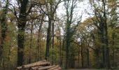 Trail Walking Gesves - bois de Gesves 4,2 km - Photo 4