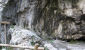 Randonnée A pied Valbrenta - Oliero di Sopra - Le Pozzette - Col d'Astiago - Photo 4