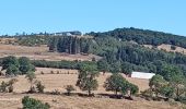 Randonnée Marche Curières - la croix du Pal - Photo 4