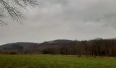 Tour Wandern Esneux - tilff - mery via bois manant retour le long de l ourthe - Photo 1