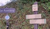 Tour Wandern Saint-Ferréol - Cascade et hameau de Fontany - Photo 6