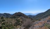 Tour Wandern Gorbio - cime de Cabanelles depuis Gorbio - Photo 4