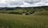 Excursión Bici de carretera Langogne - NAUSSAC - CHAPEAUROUX - Photo 9